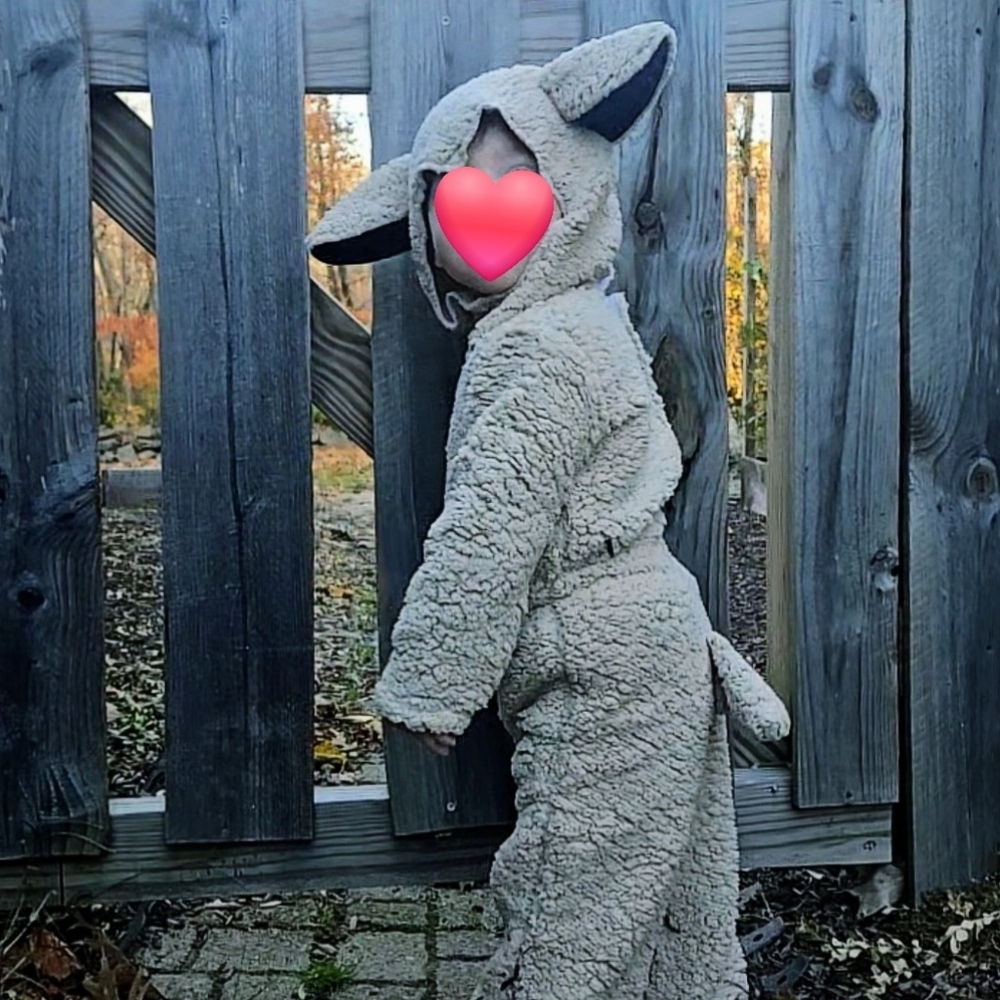 Cream Sheep Kids Costume 2T